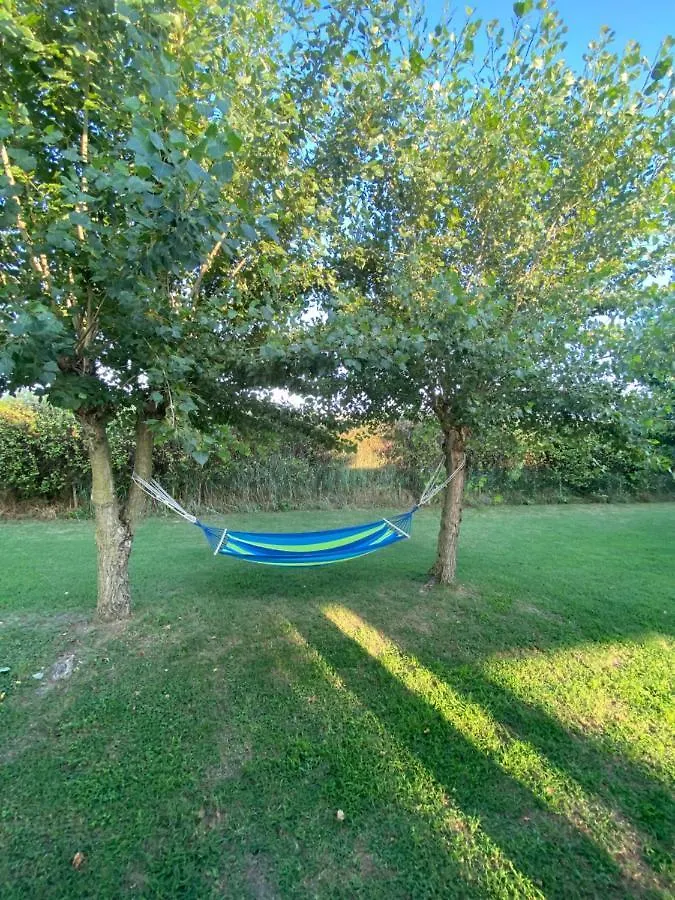 Bed and Breakfast Tra Campagna E Mare Lido delle Nazioni Bed & Breakfast