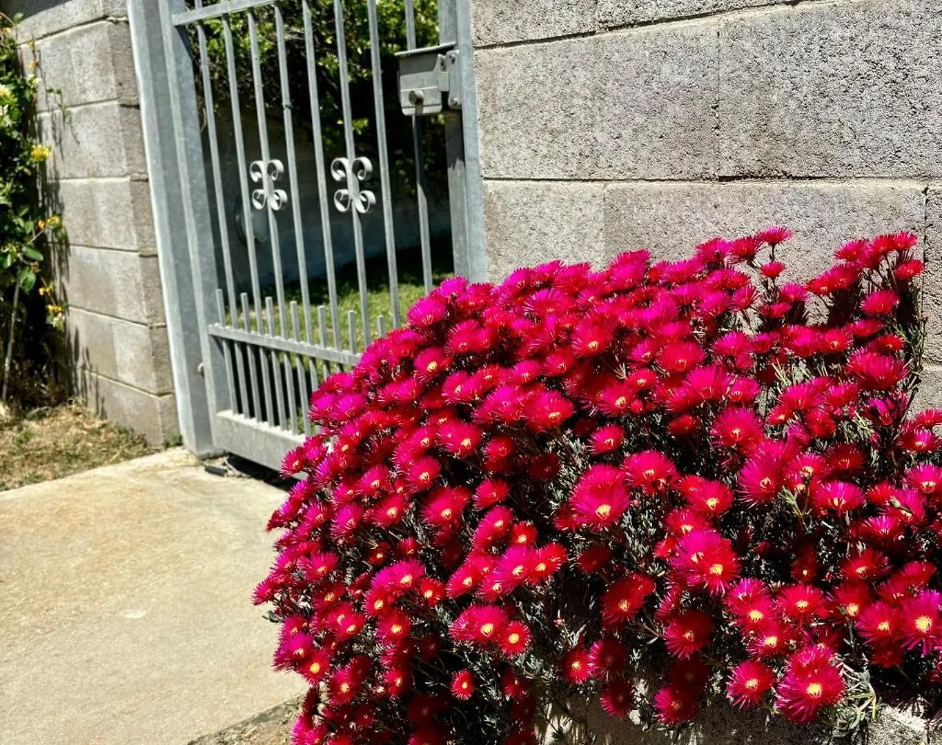 Bed & Breakfast Bed and Breakfast Tra Campagna E Mare Lido delle Nazioni Italia